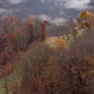 Meet your Posher, Russell